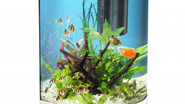 "Tetra AquaArt Explorer Line" jetzt in Trendfarbe Weiß