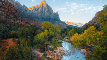 Das Futterhaus spendet 40.000 Euro