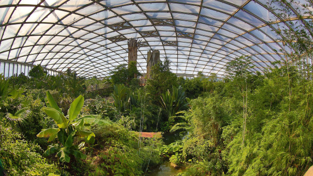 Der Geburtstag des TVT wird unter anderem im Tropenerlebniswelt Gondwanaland im Zoo Leipzig gefeiert.