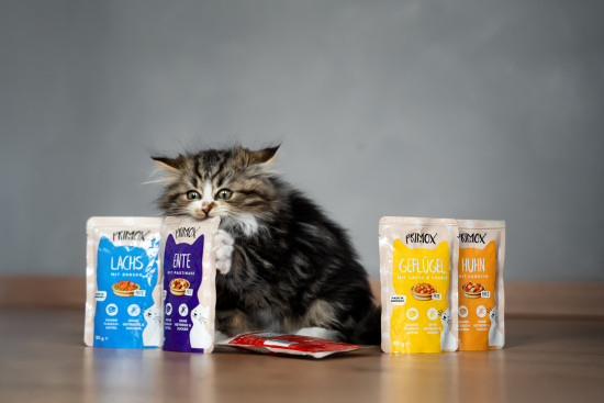 Bei Primox Katzennassfutter fiel das Voting deutlich für Stroetmann aus. Bei Primox Katzennassfutter fiel das Voting deutlich für Stroetmann aus.