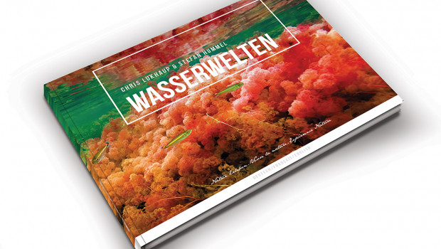 Wasserwelten von Dennerle Wasserwelten von Dennerle