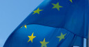 Gesetzlücken beim EU-Wildvogel-Importverbot