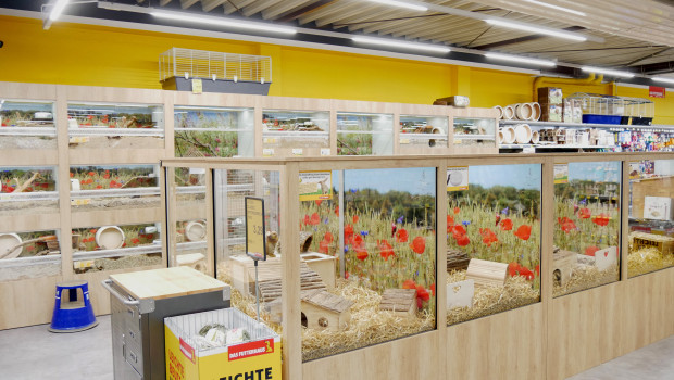 Der Zoofachhandel wird von Tierhaltern für sein Lebendtierangebot geschätzt, im Bild: der Das-Futterhaus-Pilotmarkt in Hamburg in der Kieler Straße.