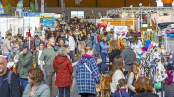 Regionales mittendrin