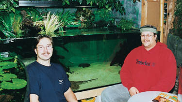 Professionell am Markt