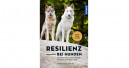 Resilienz bei Hunden