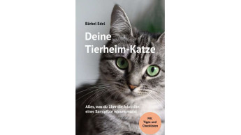 Deine Tierheim-Katze