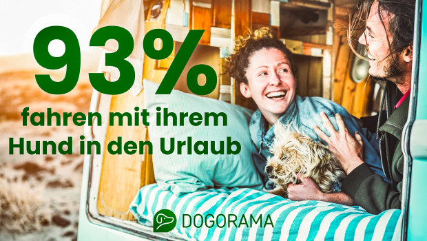 Die große Mehrheit der Hundehalter fährt auch mit ihrem Haustier in den Urlaub. 
