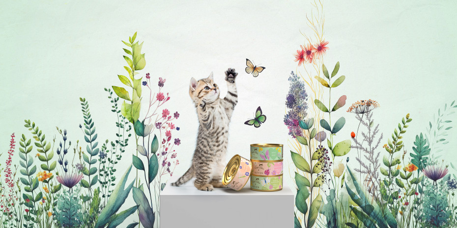 „Terra Felis“ gibt es  jetzt auch für Kitten.
