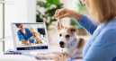 Versicherer: Videosprechstunde weniger Stress und günstiger