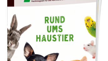 E-Magazin Zoomark 2025