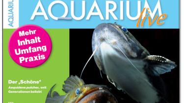 Dähne Verlag übernimmt Aquarium Live