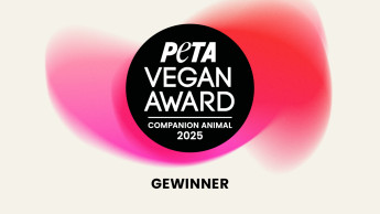 Ausgezeichnete vegane Heimtierprodukte