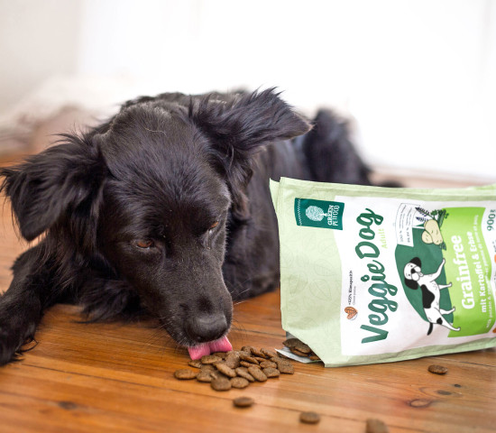 Mit „VeggieDog” unterstreicht Green Petfood, dass Hunde nicht unbedingt Fleisch benötigen.