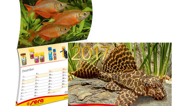 Der neue Kalender soll auch den Abverkauf der Produkte steigern.
