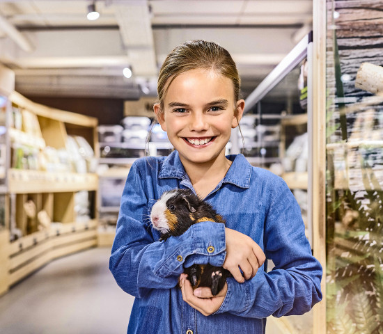 Die Zahl der gehaltenen Nager ist seit den späten 1990er-Jahren stetig gewachsen und das Sortiment um die Haltung von Kaninchen, Meerschweinchen und Kleintieren wurde stetig ausgebaut, beim Futter wie bei Einstreu, Gehegen und Zubehör. Die Zahl der gehaltenen Nager ist seit den späten 1990er-Jahren stetig gewachsen und das Sortiment um die Haltung von Kaninchen, Meerschweinchen und Kleintieren wurde stetig ausgebaut, beim Futter wie bei Einstreu, Gehegen und Zubehör.