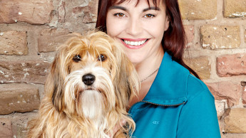 Josera ist Hauptsponsor der German Petfluencer Awards