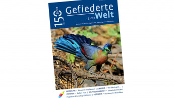 „Gefiederte Welt“ wird 150 Jahre alt