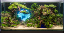 Aquarium Design Meisterschule gut gestartet