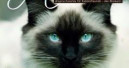 Neue Zeitschrift für Katzenfreunde