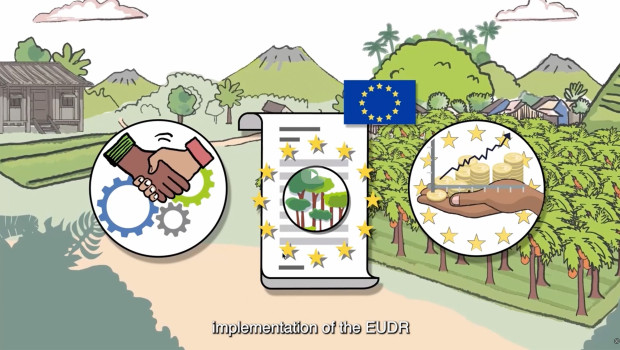 Die EU Deforestation Regulation kommt noch später.