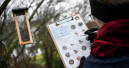 Nabu startet "Stunde der Wintervögel"