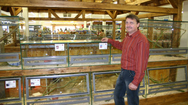 Expansion in Dresden