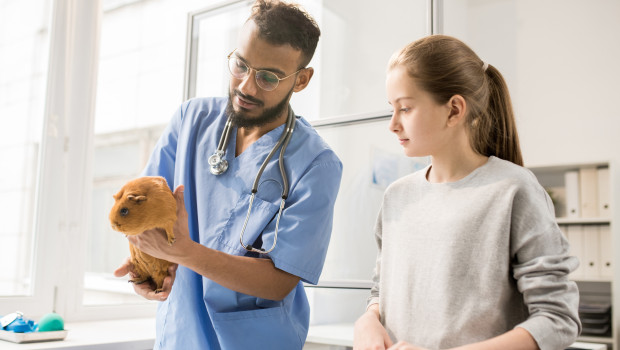 Auch Tierärzte haben häufiger mit zoonotischen Erkrankungen zu tun.