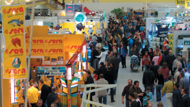 Fisch & Reptil: 17.000 Besucher in Sindelfingen