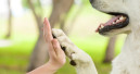 Das Futterhaus startet Charity-Aktion