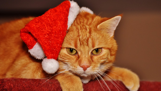Weihnachten 2016