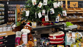 Dehner setzt Wunschbaum-Aktion fort