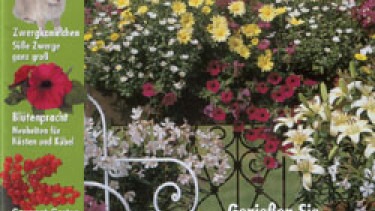 Grüne Zeitschrift für Dehner-Kunden