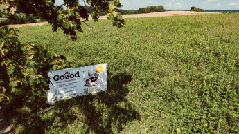 Goood unterstützt 10.000 m² Bienenweide