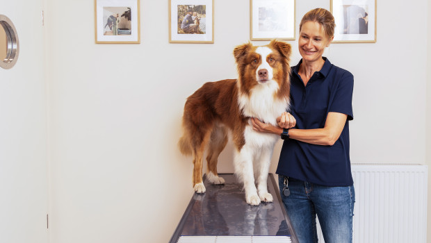 Eine Tierärztin mit einem Hund in einer Rex-Praxis.
