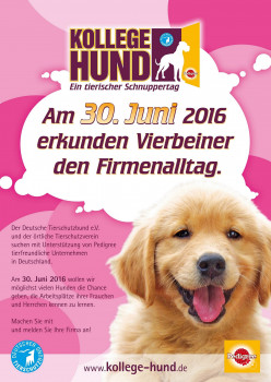 Aktion "Kollege Hund" will Unternehmen tierfreundlicher machen. Aktion "Kollege Hund" will Unternehmen tierfreundlicher machen.