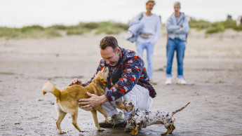 Mit Purina die Kraft der Mensch-Tier-Beziehung entdeckt
