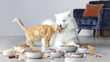 „Noch mehr Kundennähe“