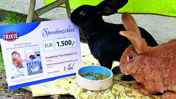 Spende an Kaninchen-Gnadenhof