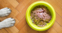 Petbook testet Premium-Nassfutter