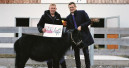 Spendeninitiative sammelt 335.000 Euro