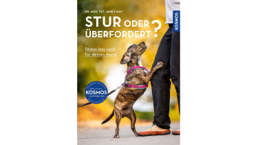 Stur oder überfordert?