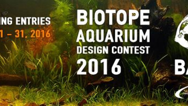 JBL, Biotop Aquarium Design Contest