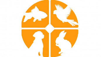 International Pet Conference in Bologna