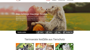 Schweizer Heimtiermedien konzentrieren sich