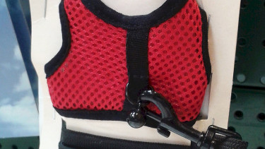 Mängel im Zoofachhandel