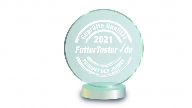 Sechs Awards werden an Unternehmen vergeben, die 2021 am besten in der jeweiligen Kategorie abgeschnitten haben.