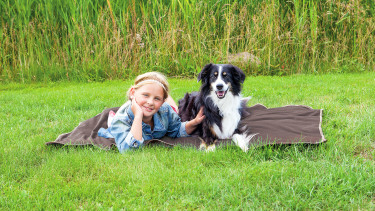 Integrierter Insekten­schutz