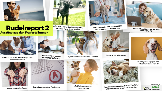 Die zweite Ausgabe des Rudelreports von Die Projektmeisterei un pet beschäftigt sich mit dem Thema Krankenversicherungen für Hunde.