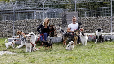 Purina setzt sich für Tieradoption ein
